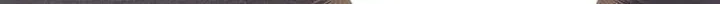 110 result