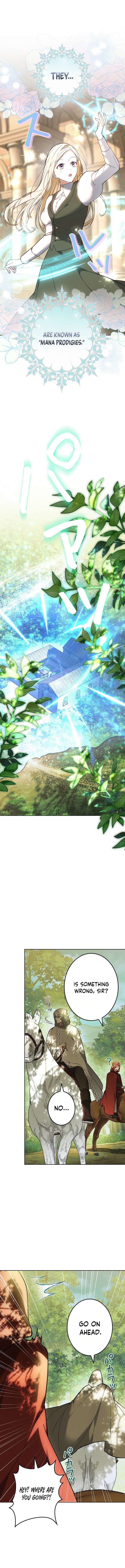 ch 1 19
