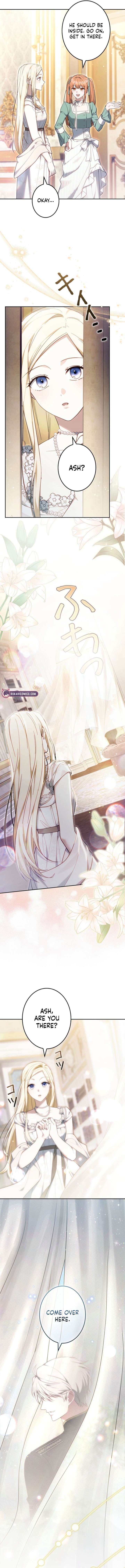 ch 15 19