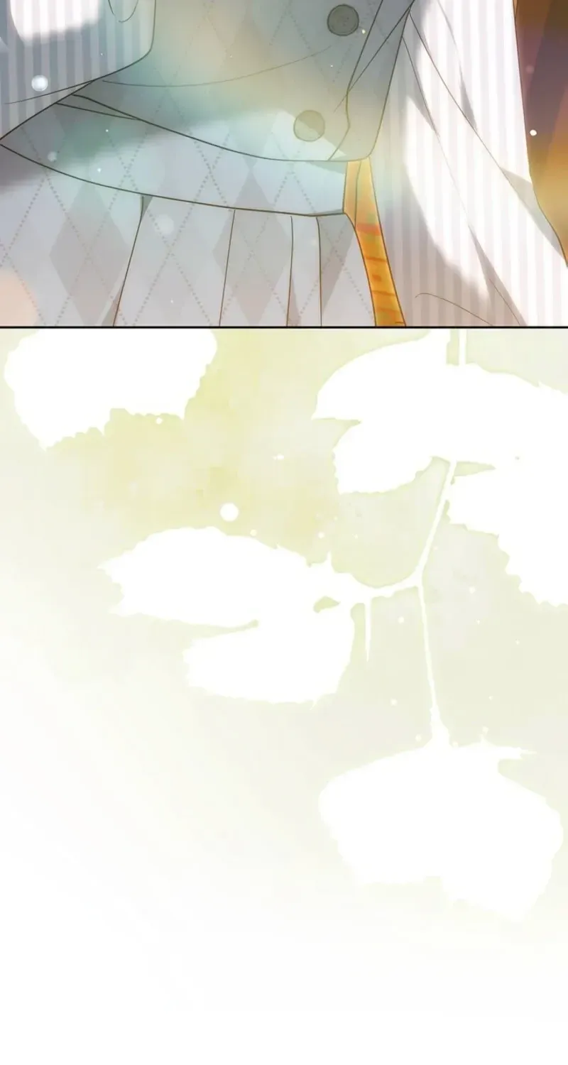 fe704561d309 51 webp