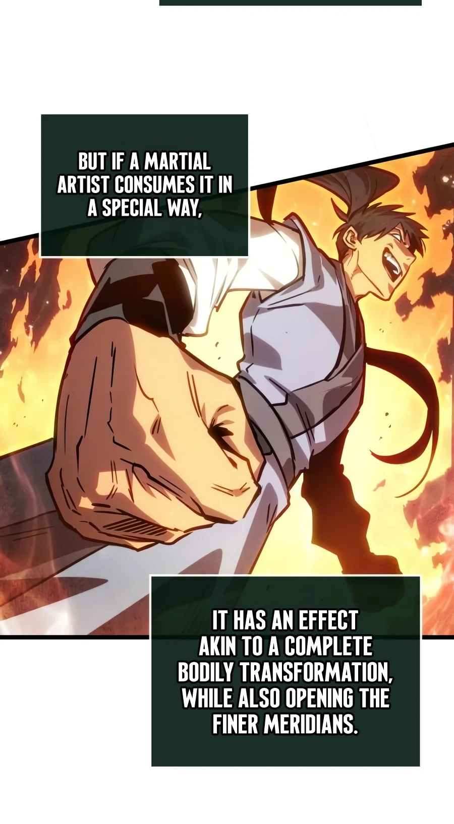 The Unforgettable Genius Martial Artist capítulo 31 página 102