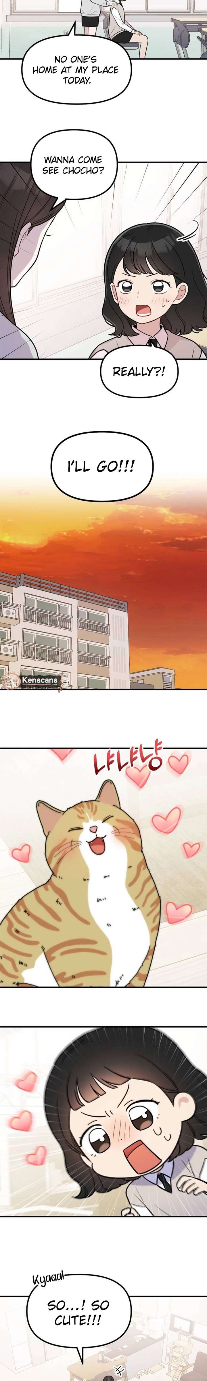ch 18 11