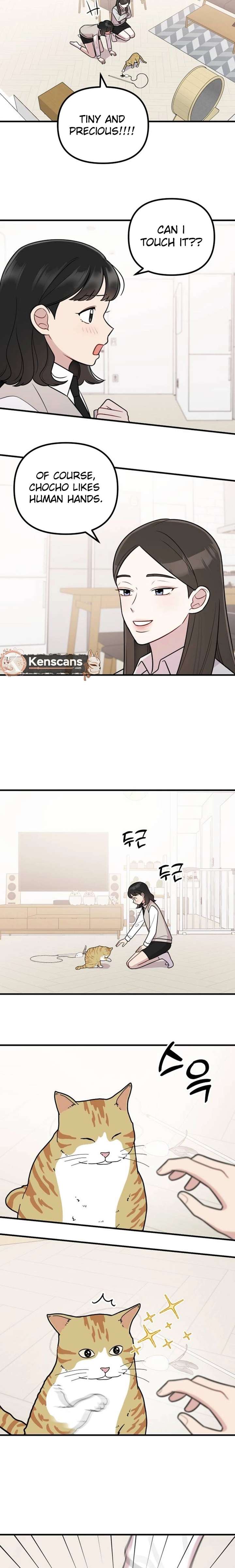 ch 18 12