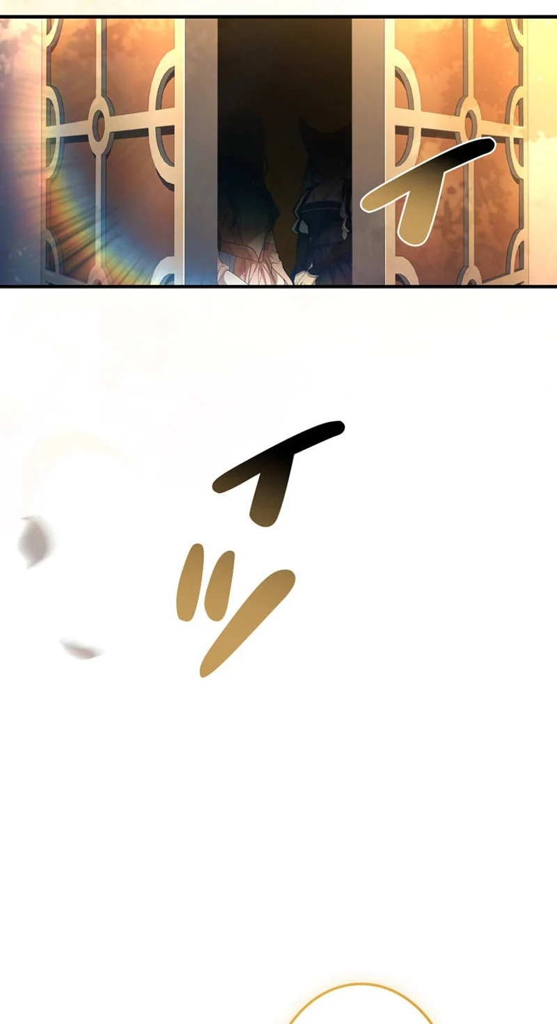 dfc5cf2764c8