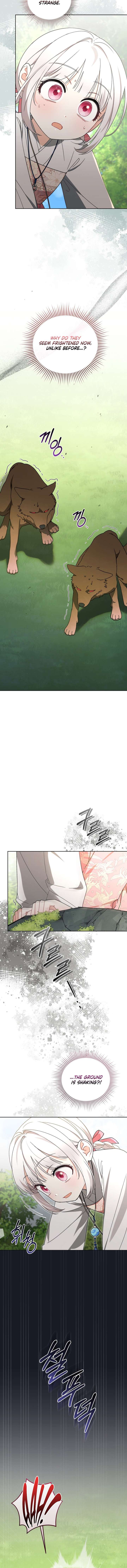 The White Tiger Clan’s Baby Cotton Ball Chapter 17 55 ch 17 4