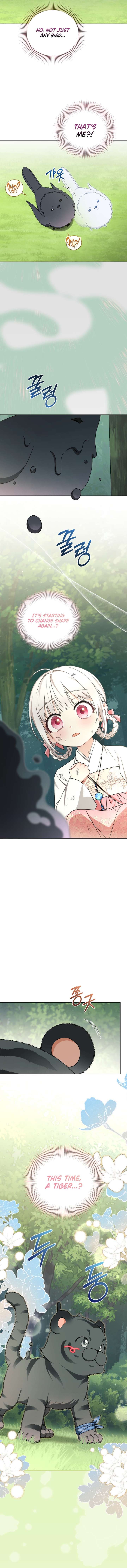 The White Tiger Clan’s Baby Cotton Ball Chapter 17 58 ch 17 7