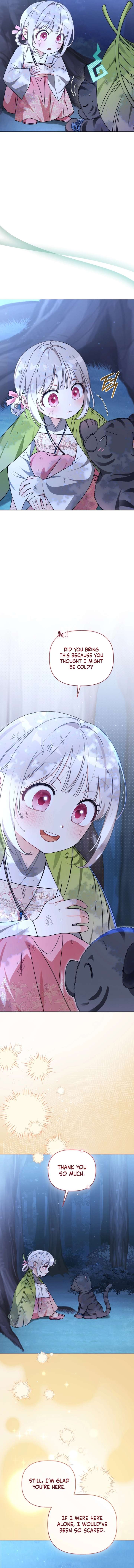 ch 18 11