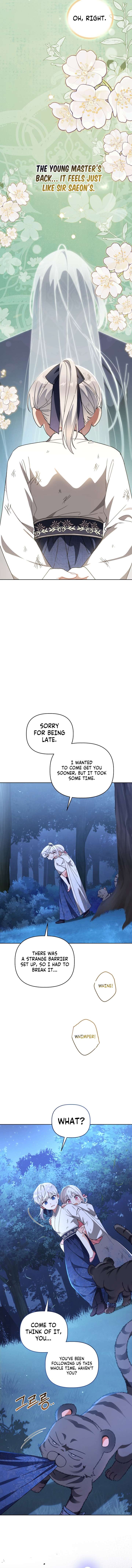 ch 19 4