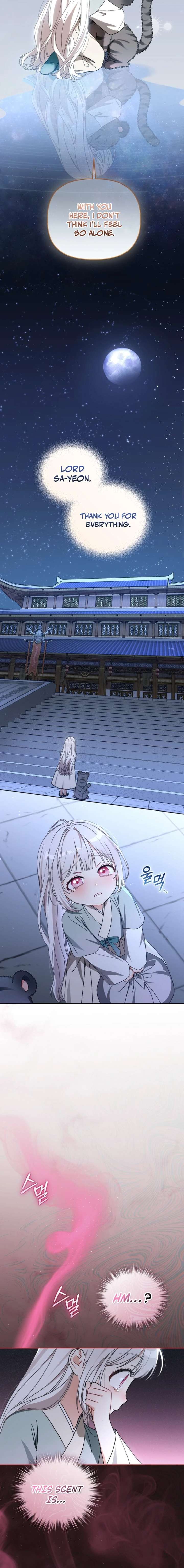 ch 21 20