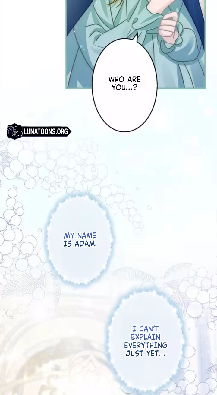 00b265d2c2ef