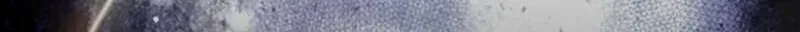 Becoming a Cheat-Level Skill Thief Chapter 39 802 22986bc2fd01