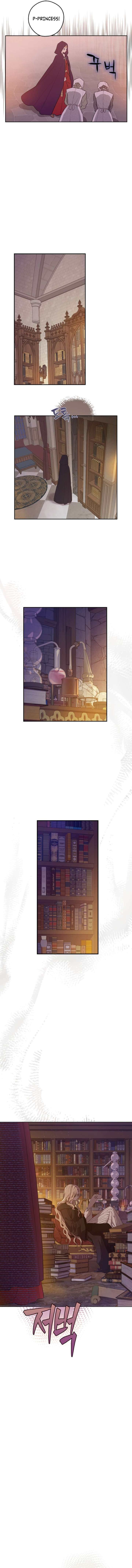 ch 12 17