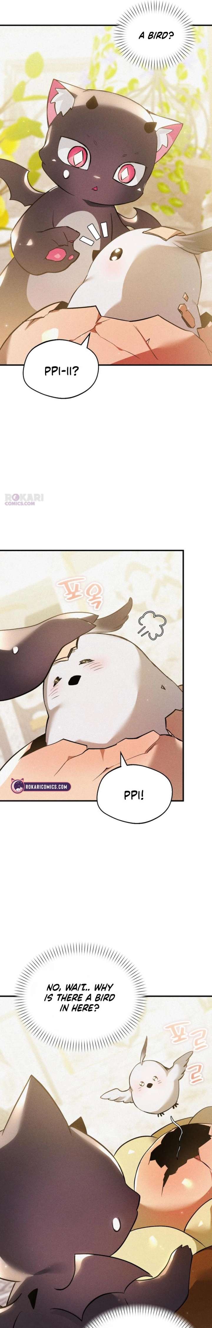 ch 4 17