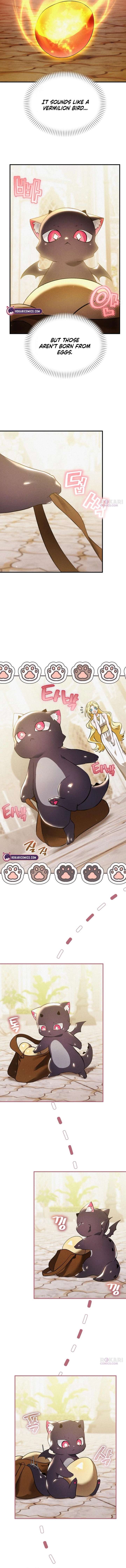 ch 4 2
