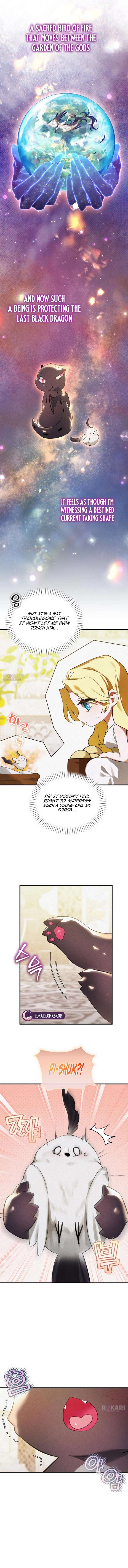 ch 5 11