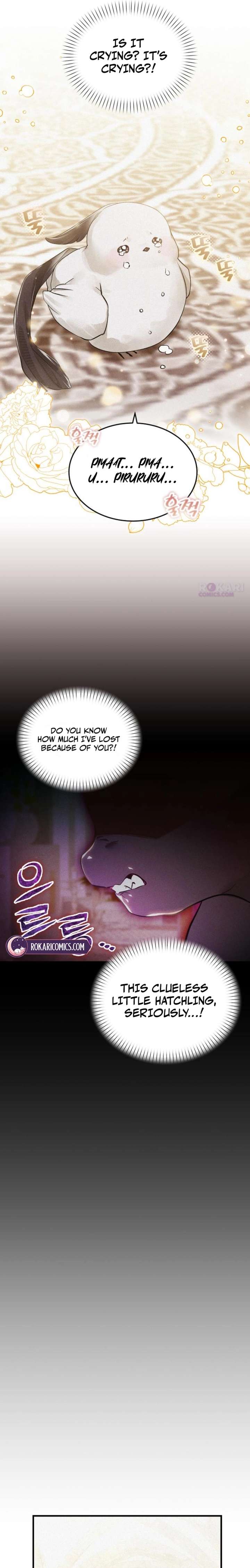ch 5 6