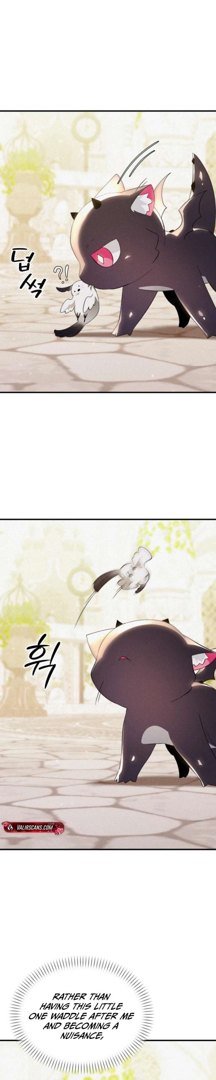 ch 6 11