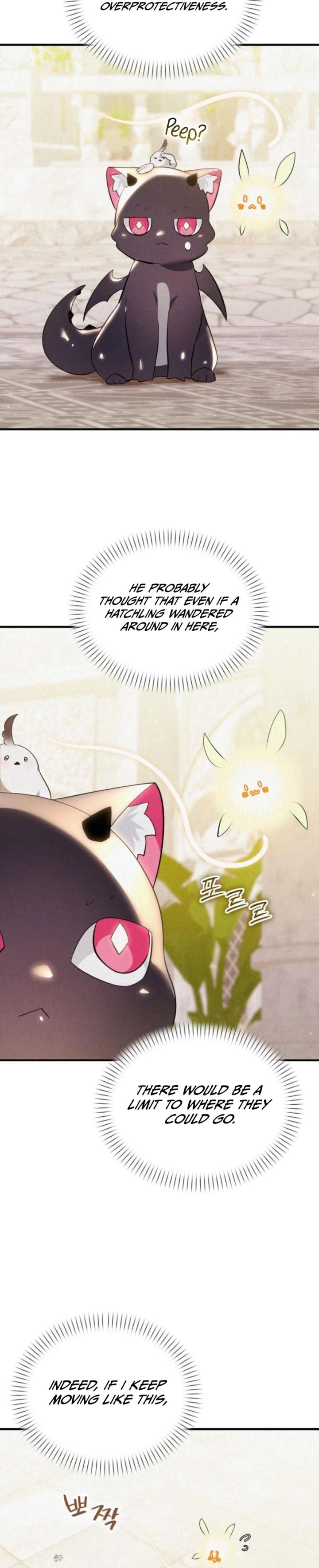 ch 6 22