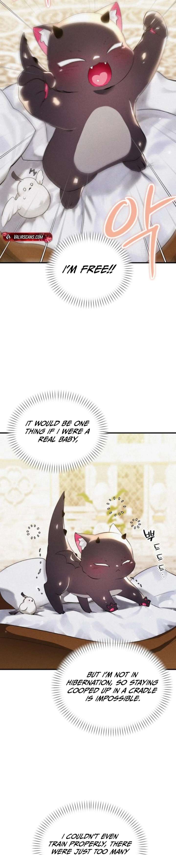 ch 6 8