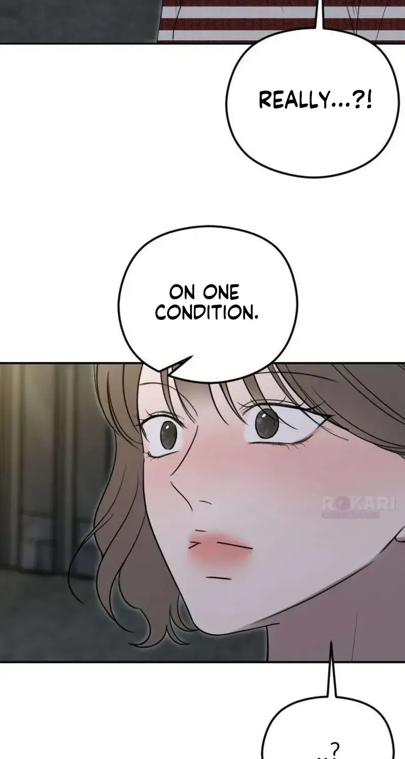 53975672b738