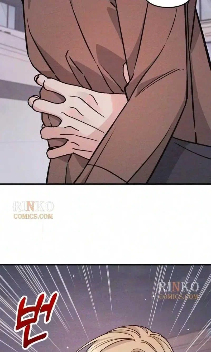 232664cc023c
