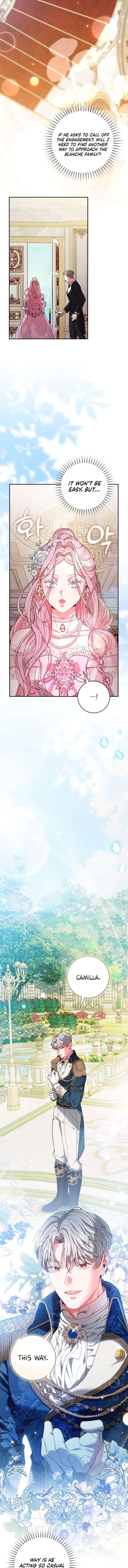 ch 19 3
