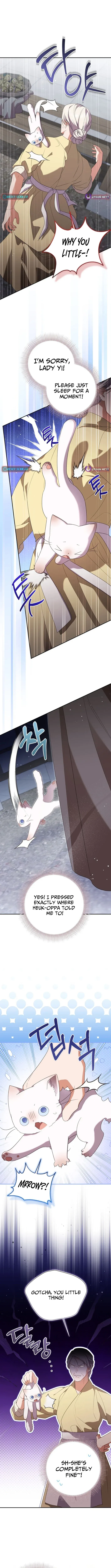 A Baby Cat Who Commands the Dog Clan Chapter 23 48 02