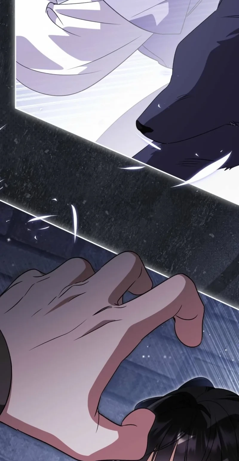A Baby Cat Who Commands the Dog Clan Chapter 42 381 54e5709b7e81