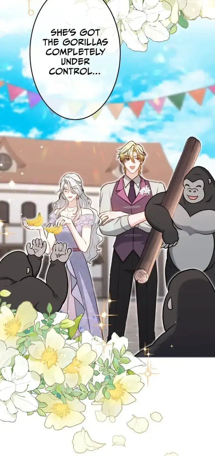 dfcf8b4bcb2e
