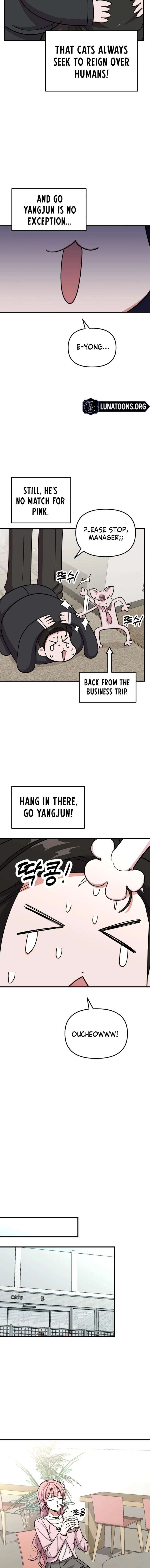 ch 16 6