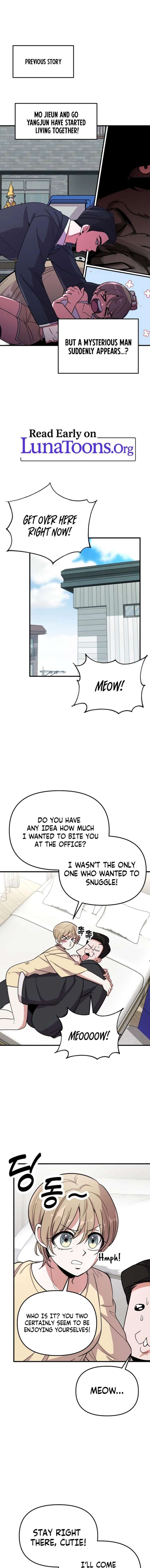 ch 8 1