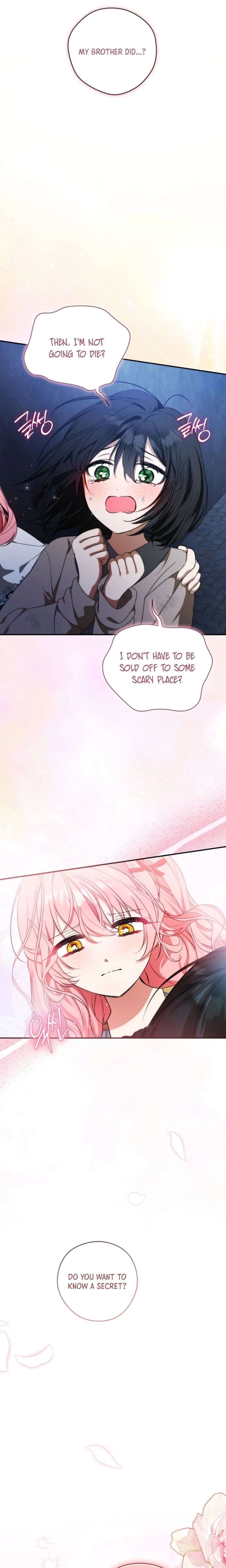 ch 11 2