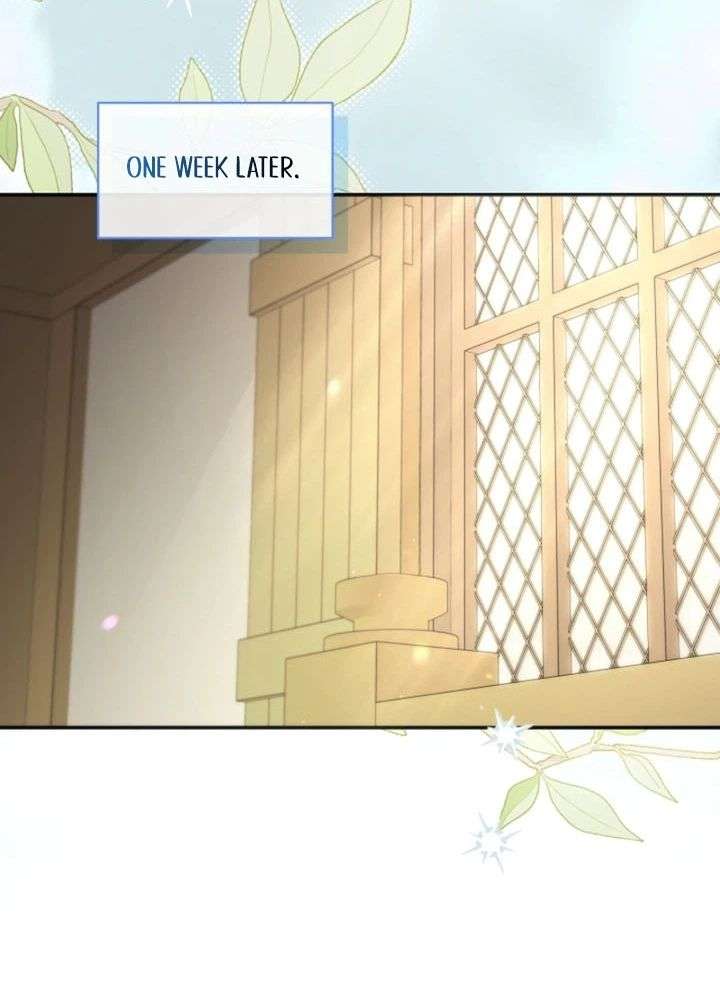 ch 15 16