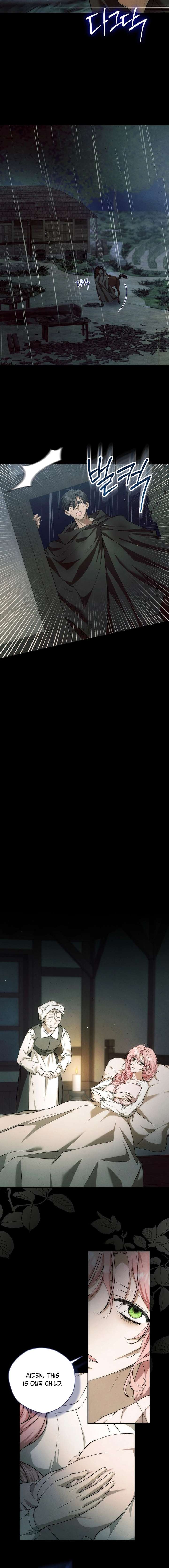 ch 23 10