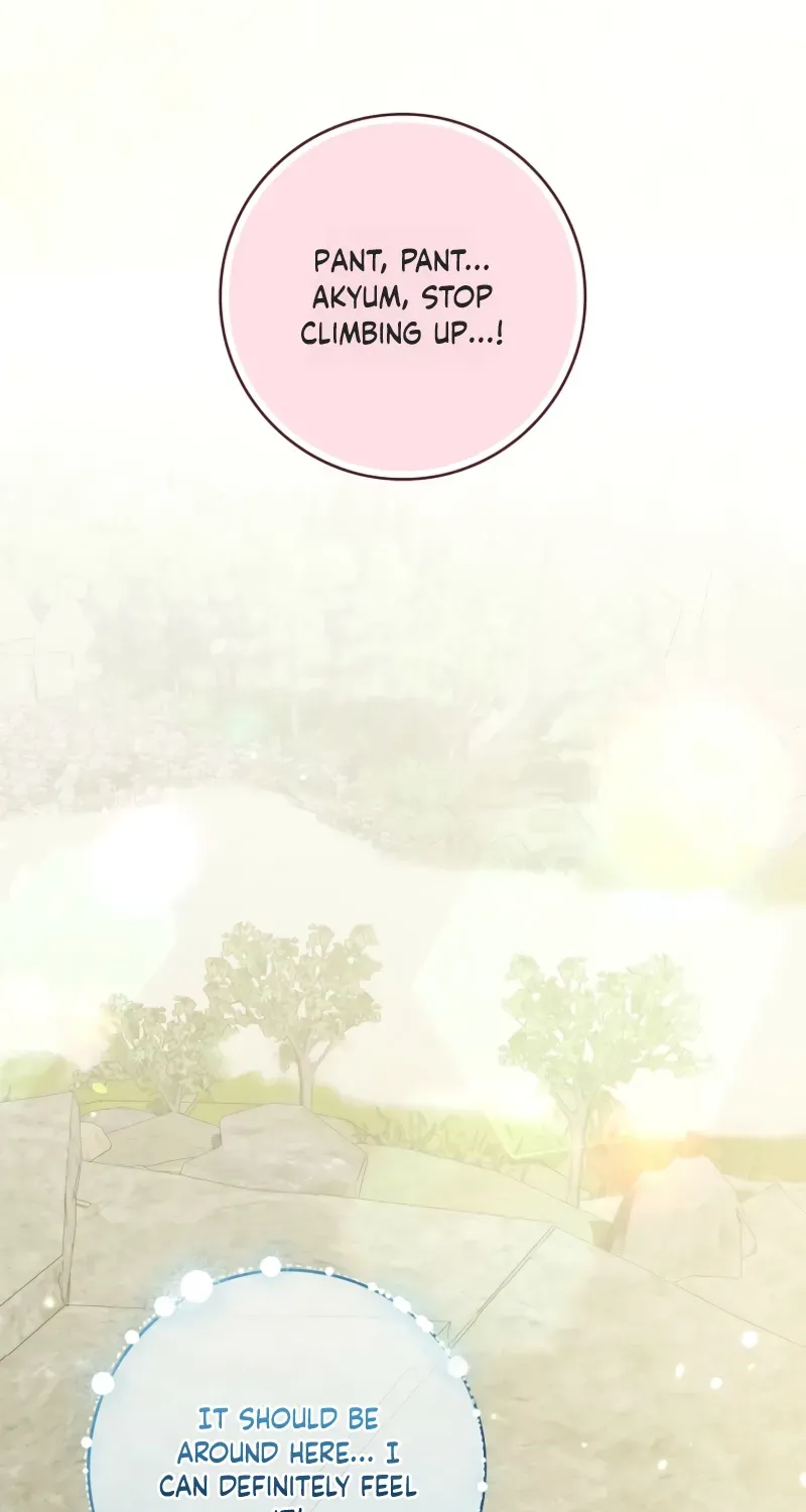 0342c7966209