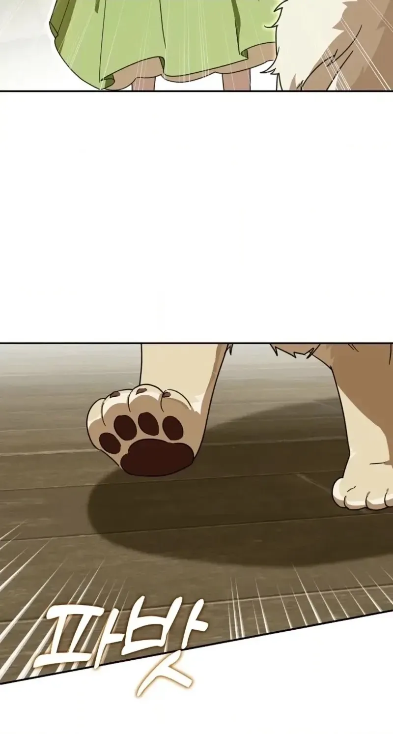 9572f0ae4720