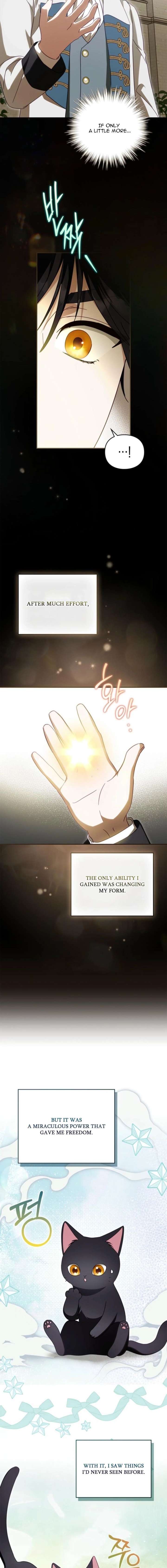 ch 8 16