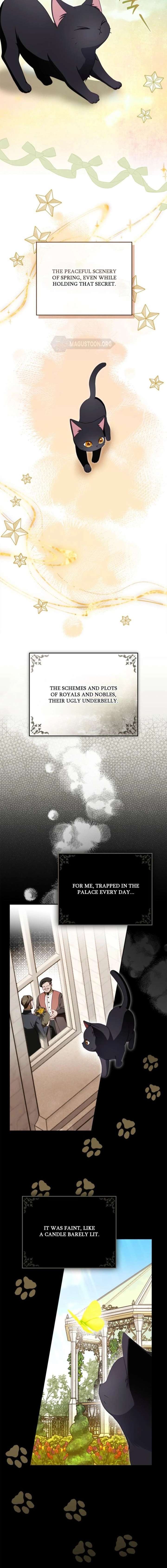 ch 8 17