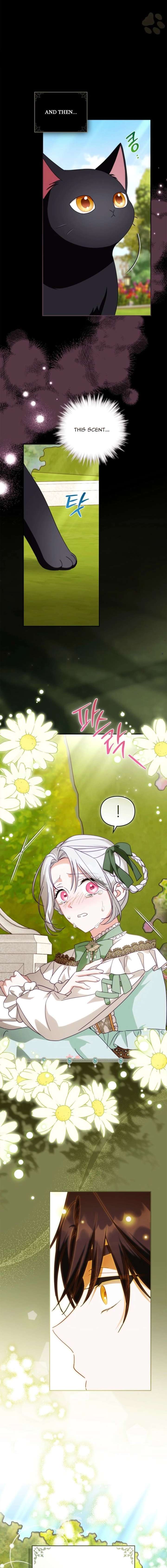 ch 8 18