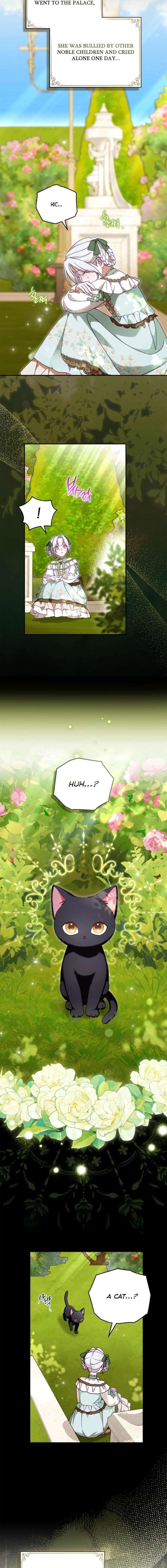 ch 8 2