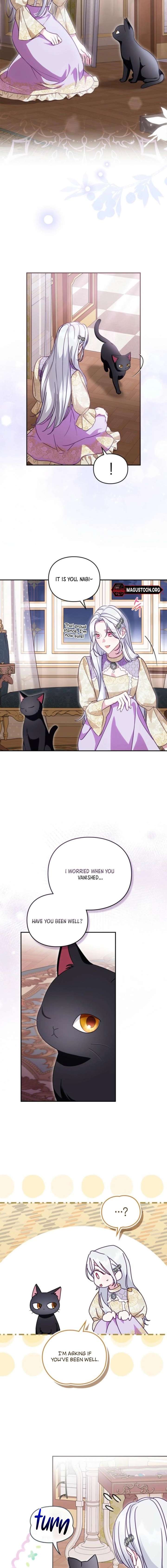 ch 8 5