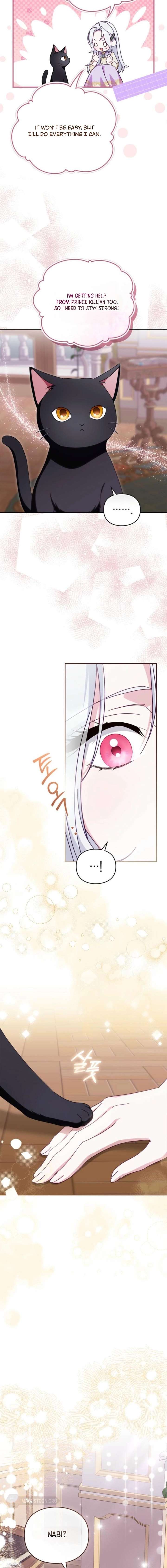 ch 8 8