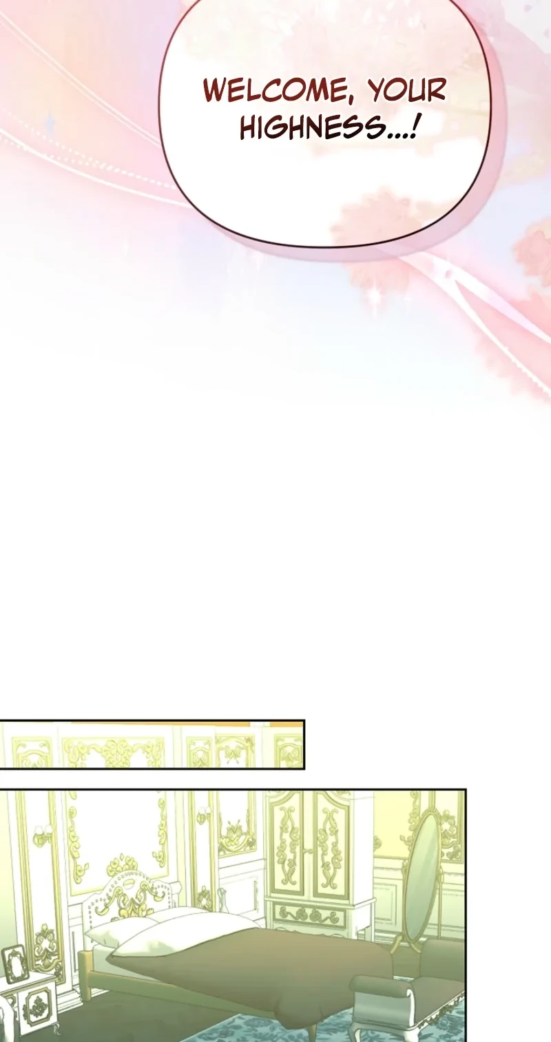 008e1e5221ca
