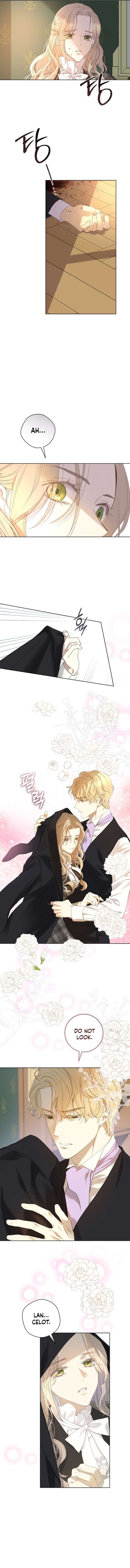 ch 17 5