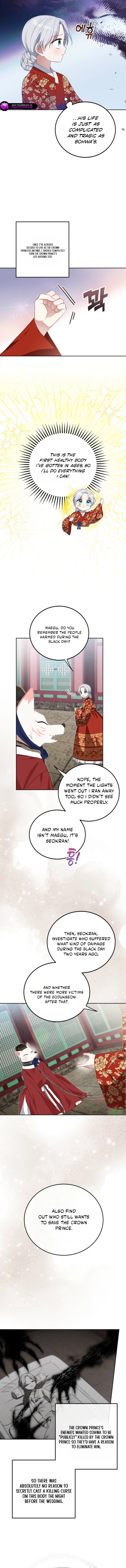 I Became the Terminally Ill Princess With No Tomorrow Chapter 11 42 03