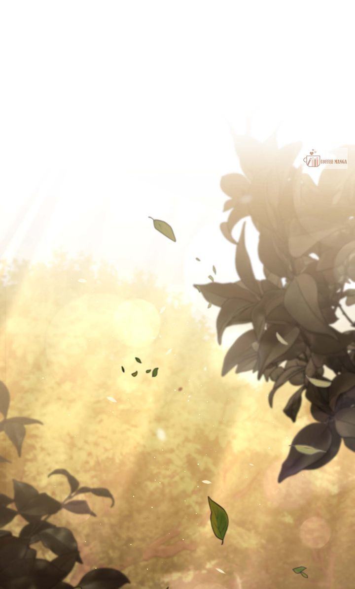 image 1 result