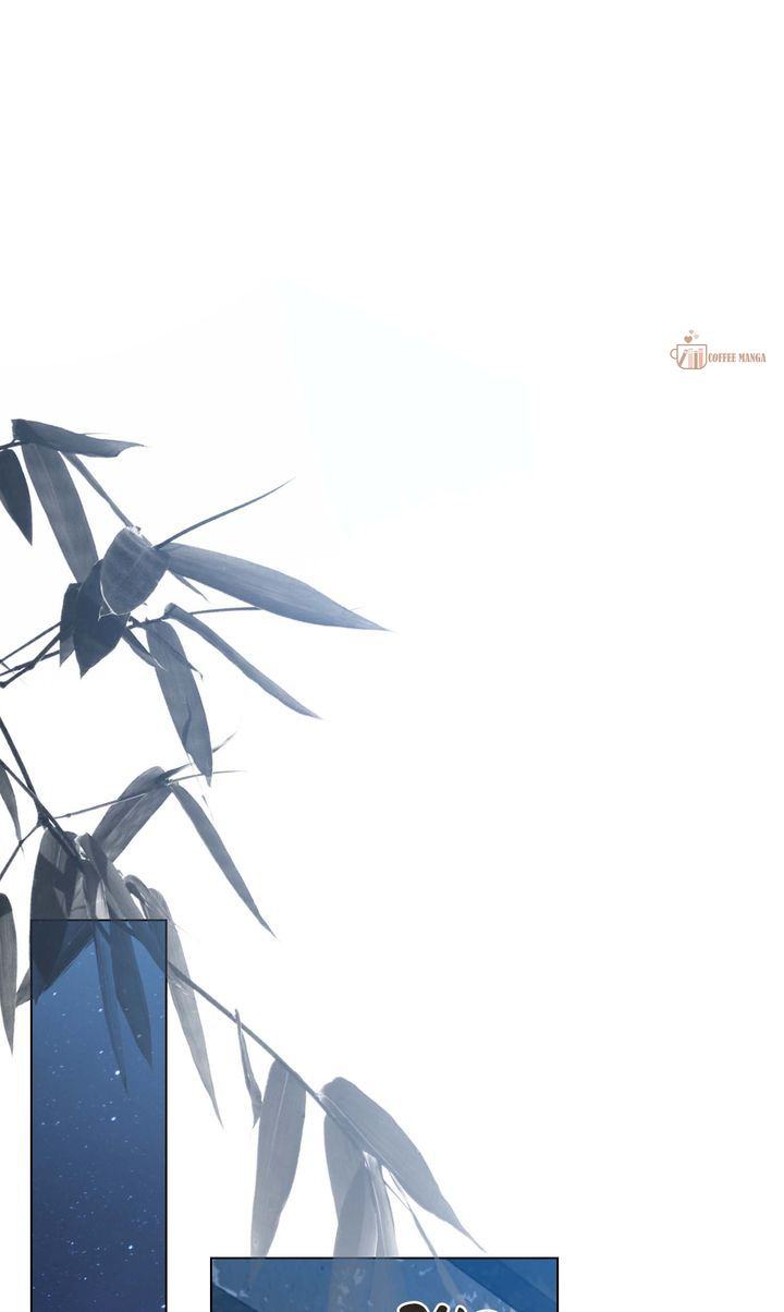 image 48 result