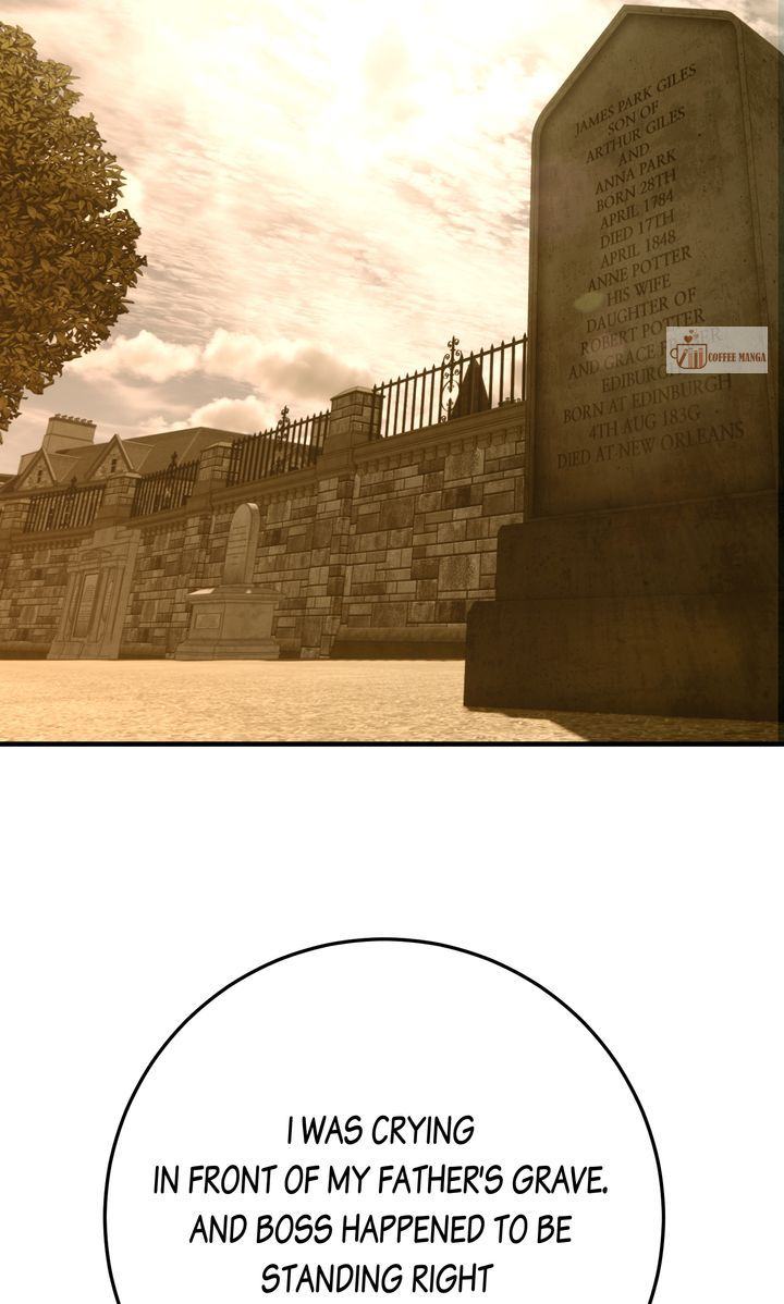 image 14 result