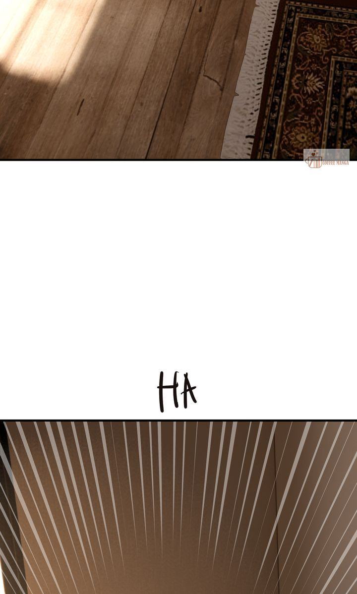 image 43 result
