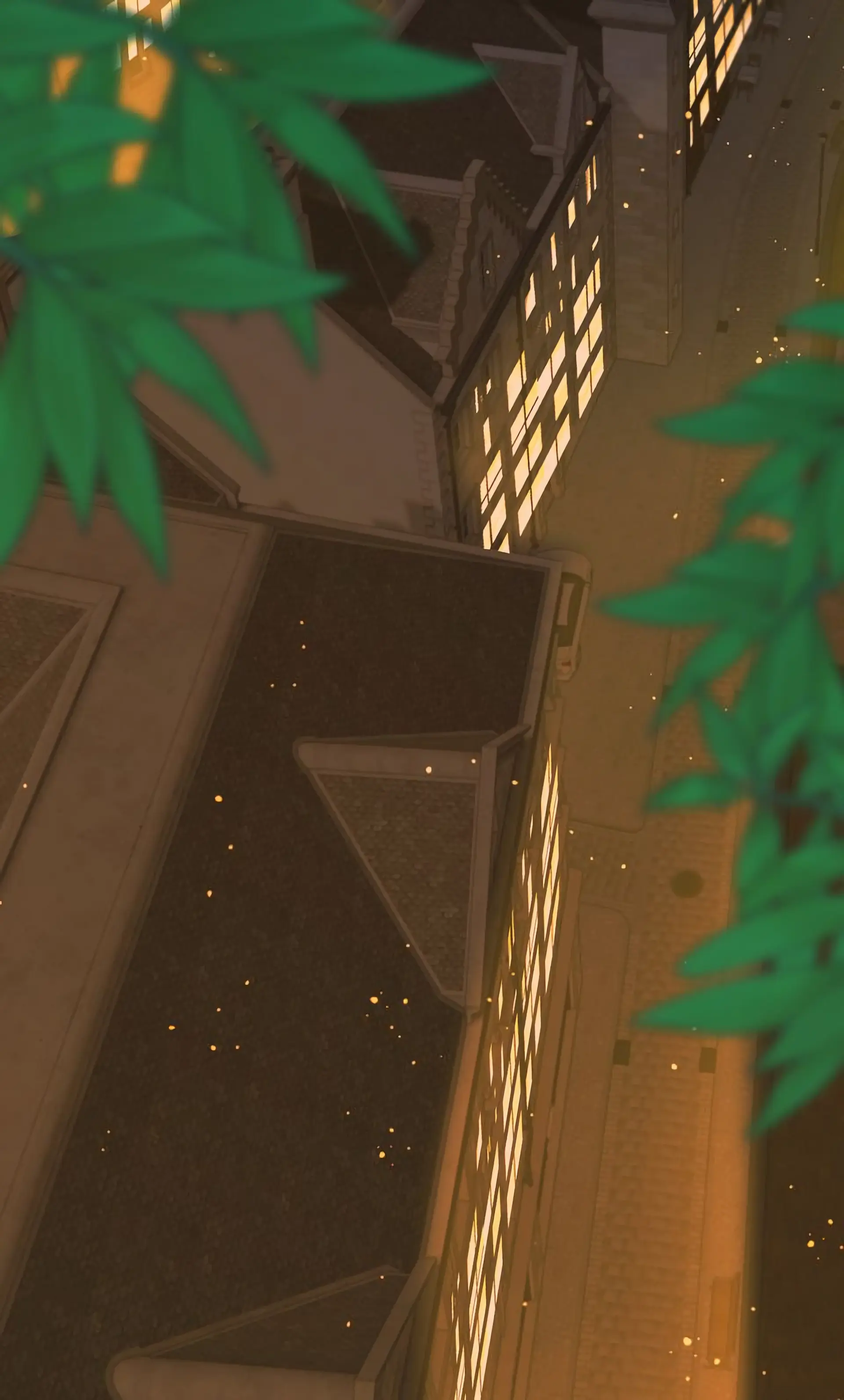 003